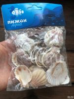 Лот: 15961106. Фото: 6. Настоящие Ракушки Украшения в...