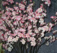 Лот: 7596784. Фото: 3. цветы - сакура - искусственная. Домашний быт