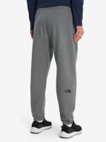 Лот: 25714018. Фото: 3. Брюки мужские The North Face Simple... Одежда, обувь, галантерея