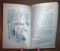 Лот: 6343437. Фото: 3. Книга Осеева. Динка. (9906к). Литература, книги