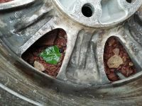Лот: 16097313. Фото: 5. Bridgestone blizzak r15 5*114...