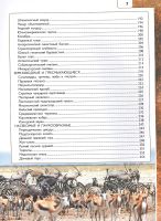 Лот: 25274234. Фото: 7. "Животные " Любовь Вайткене, Елена...