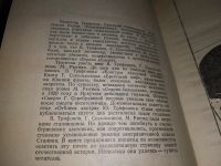 Лот: 11119234. Фото: 14. Смерч, В центре книги - героические...