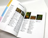 Лот: 23603284. Фото: 3. 📙 Сильвия Боргези. Сезанн. ISBN... Литература, книги