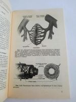 Лот: 23517672. Фото: 4. Книга "Выход из тупика, ошибки... Красноярск