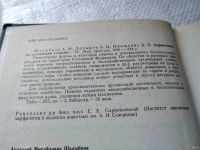 Лот: 17861043. Фото: 3. oz (01..01) Шалыбков, А.М.; Лопырев... Литература, книги