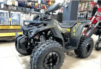 Лот: 25659291. Фото: 3. Квадроцикл YAMAHA Shark 175. Авто, мото, водный транспорт