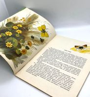 Лот: 25169609. Фото: 4. 📗 Анатолий Онегов. На лугу. Худ... Красноярск