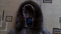 Лот: 6432532. Фото: 4. Пуховик пух/перо большого размера... Красноярск