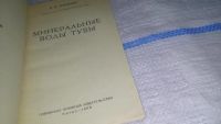 Лот: 11650200. Фото: 2. Минеральные воды Тувы, Е.В. Пиннекер... Хобби, туризм, спорт