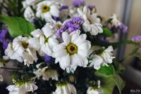 Лот: 16410027. Фото: 4. Panasonic GF3 body. Красноярск