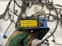 Лот: 22460316. Фото: 2. проводка подкапотная Nissan Terrano... Автозапчасти