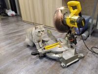 Лот: 16422898. Фото: 5. Торцовка dewalt DWS 713