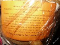 Лот: 1415602. Фото: 2. Эколюдик - прорастающая при поливе...