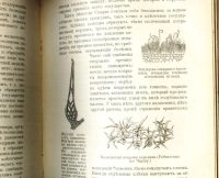 Лот: 18026605. Фото: 12. Кон А. Растение. (Популярные лекции...