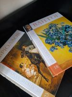 Лот: 21134589. Фото: 2. Продам книги великих художников. Литература, книги