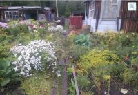 Лот: 6767093. Фото: 6. Продается дача, участок 13 соток...