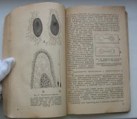 Лот: 19929286. Фото: 7. Цингер Я.А. Простейшие. Практическое...