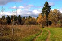 Лот: 14726887. Фото: 7. Nikon Nikkor-S Auto 1.4 Ai