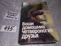 Лот: 5869989. Фото: 12. Ваши домашние четвероногие друзья...