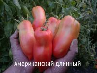 Лот: 4898896. Фото: 3. Томат Американский Длинный. Семена... Для дачи, дома, огорода, бани, парка