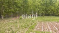Лот: 25298549. Фото: 12. участок , село Дрокино село Дрокино...