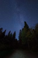 Лот: 10371162. Фото: 5. Nikon d90 body