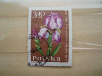 Лот: 21421030. Фото: 2. Ретро Марка: Polska. 1964 год... Коллекционирование, моделизм
