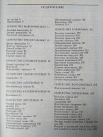 Лот: 20015946. Фото: 2. Книга Певчие птицы. Справочная литература