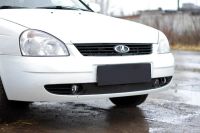 Лот: 9725073. Фото: 2. Зимняя заглушка решетки переднего... Автохимия, масла, тюнинг