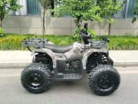 Лот: 25650241. Фото: 3. Квадроцикл MOTAX ATV Grizlik T200... Авто, мото, водный транспорт