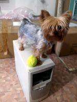 Лот: 7025837. Фото: 6. Системный блок, пустой, б/у