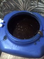 Лот: 18060418. Фото: 2. Мёд, цветочный (2021). Продукты