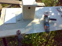 Лот: 5840229. Фото: 2. Скворечник (синичник) с рубля. Для дачи, дома, огорода, бани, парка