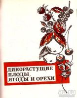 Лот: 15791420. Фото: 2. Колдаев В. (составитель) - Дикорастущие... Наука и техника