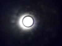 Лот: 6594138. Фото: 5. Охотничье ружьё МР-43Е