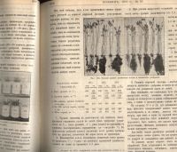 Лот: 21235702. Фото: 21. Подшивка журнала Хозяин за 1901...