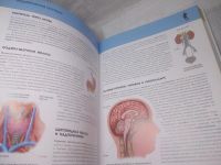 Лот: 25777694. Фото: 9. (2092312)Школьник Ю.К. Человек...