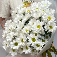 Лот: 20055459. Фото: 11. Букеты из ромашек с доставкой