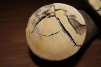 Лот: 2385958. Фото: 5. Два бивня мамонта