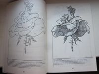 Лот: 3820232. Фото: 3. Рисуем Розы. Литература, книги
