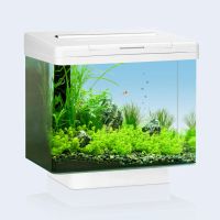 Лот: 10028553. Фото: 2. Аквариум Juwel Vio 40 LED (JUW-20040... Аквариумистика