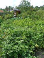Лот: 25793686. Фото: 18. 3-комн. дача , Красноярск 3-я...