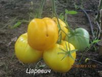 Лот: 10795663. Фото: 4. Семена томата "Царевич" - жёлтый... Красноярск