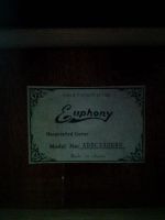 Лот: 3120235. Фото: 3. ПРОДАМ СРОЧНО! Гитара 12 струнка. Музыкальные инструменты и оборудование