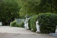 Лот: 8172736. Фото: 3. Курс Ландшафтного дизайна от Александра... Услуги