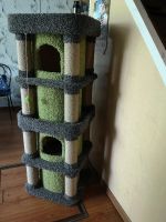 Лот: 16242840. Фото: 6. Комплекс для котеек