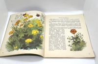 Лот: 25169609. Фото: 7. 📗 Анатолий Онегов. На лугу. Худ...