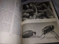 Лот: 19490235. Фото: 8. Жизнь животных в 6 томах, В наличии...