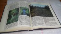 Лот: 9921015. Фото: 3. ок (32..01) Заповедники СССР... Литература, книги